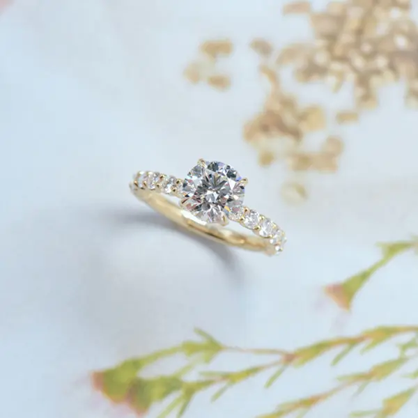 Hidden Halo Round Engagement Ring