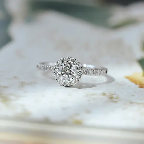Round Halo Engagement Ring With Pavé