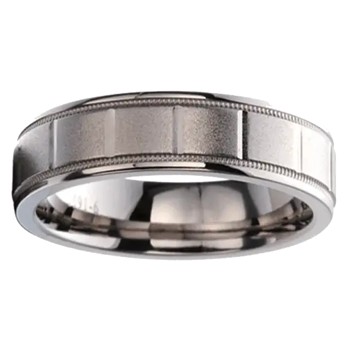 Panelled Titanium Ring