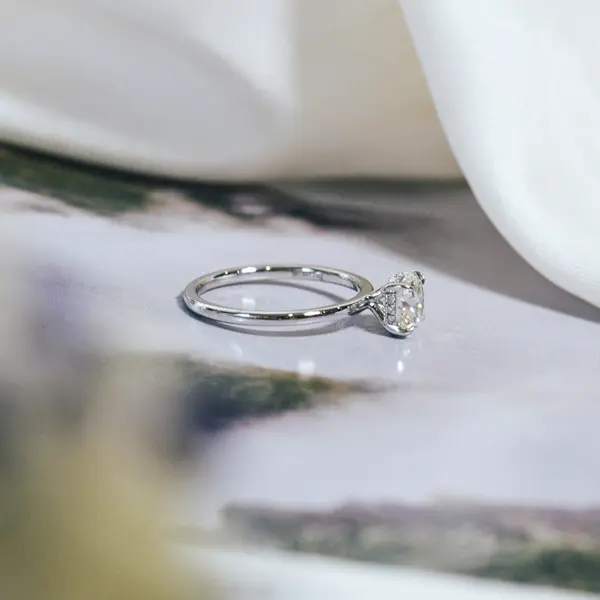 Classic Round Engagement Ring With Hidden Halo-side