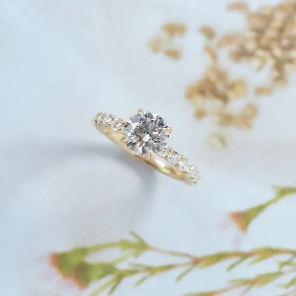 Hidden Halo Round Engagement Ring-side