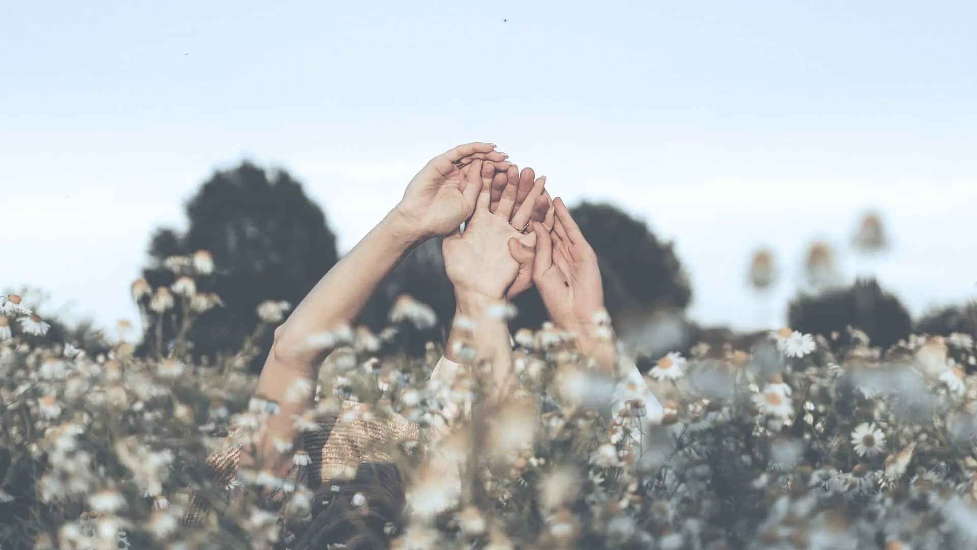 Two hands raised together against the sky above a field of wildflowers