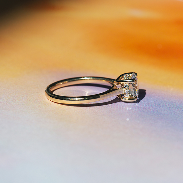 Round Hidden Halo Engagement Ring With Trellis - Side